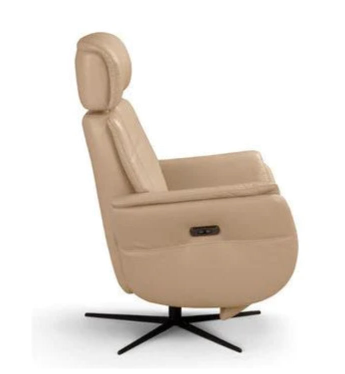 Affordable Argo Power Recliner