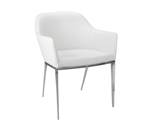 PB-06STN Dining Chair-Palma-Brava