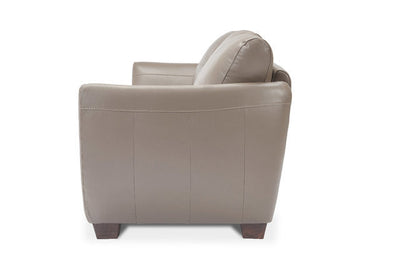Modern design dylan leather sofa