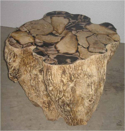 Rock Petrified Wood Side Table-Palma-Brava