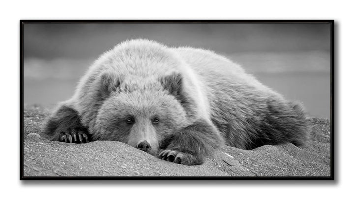 Bedroom Eyes Wall Art- AFF13556