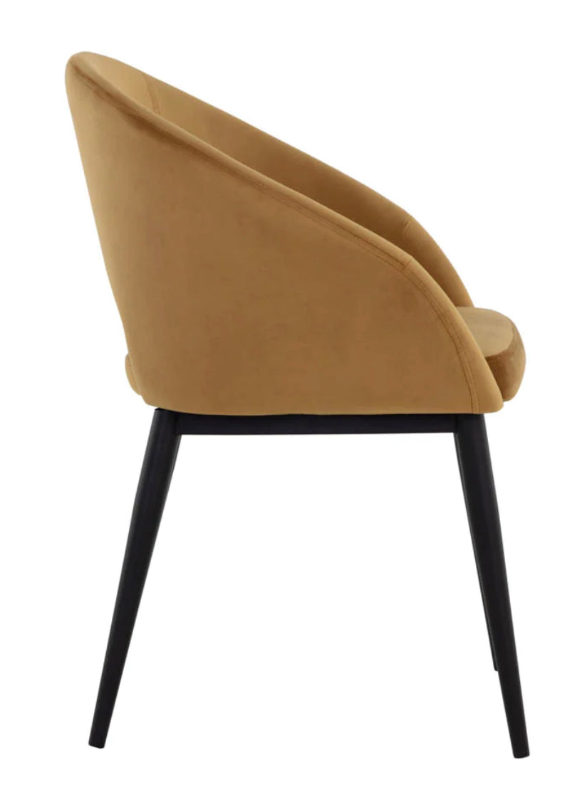 PB-06THA Dining Chair