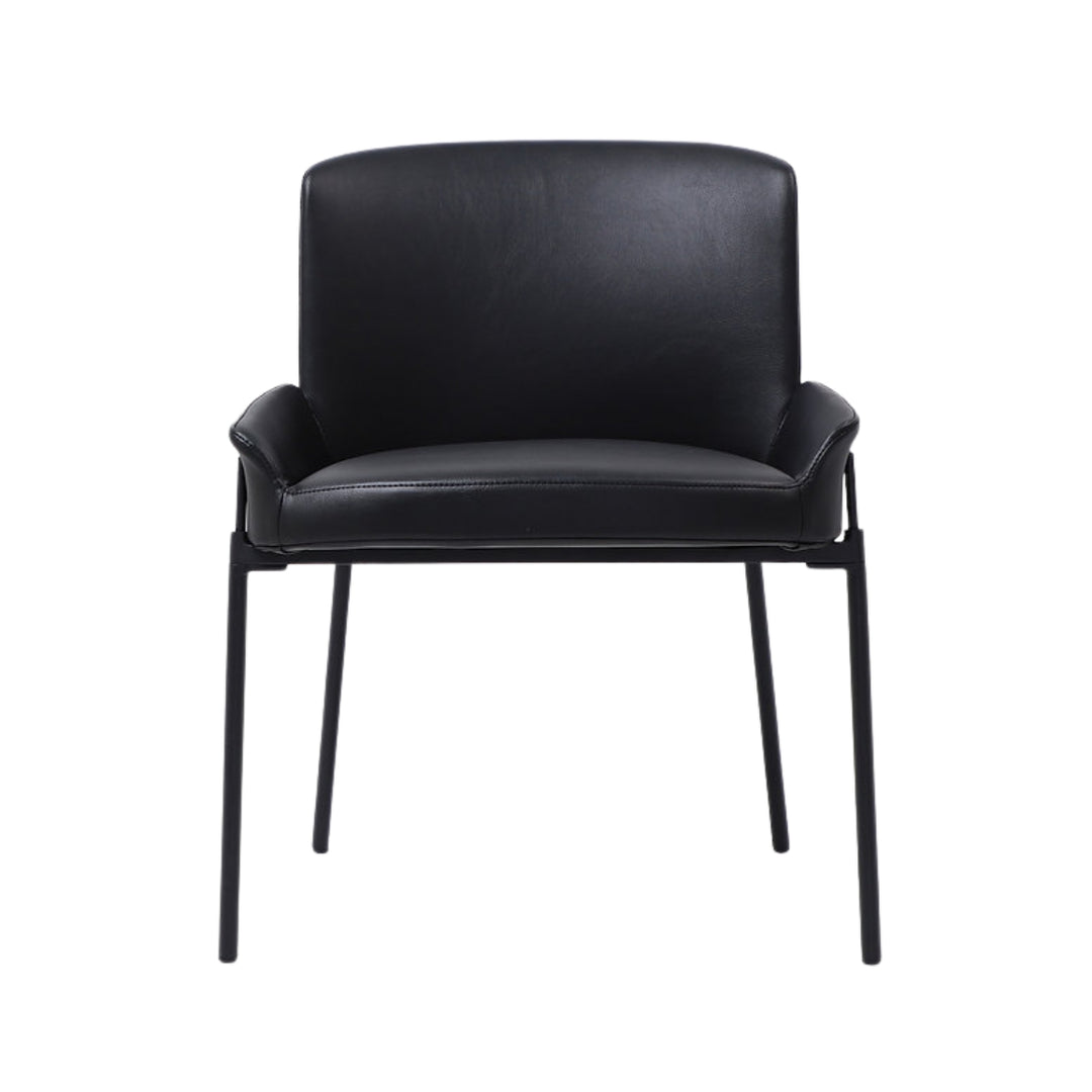 Dublin Chair