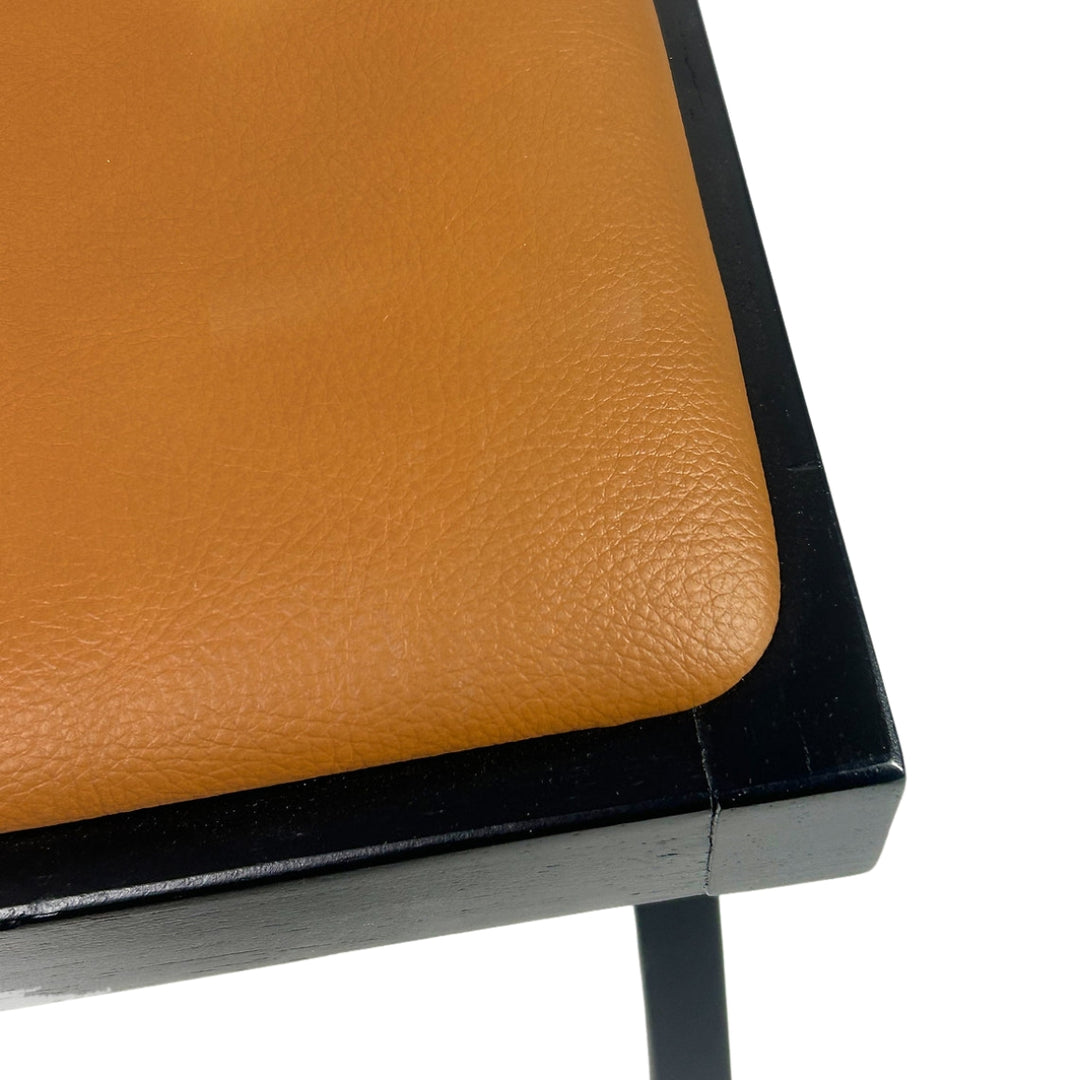 Terra Chairs with Upholstered Seat (Set of 2)