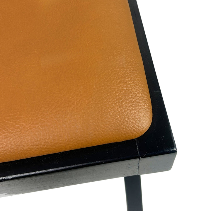 Terra Chairs with Upholstered Seat (Set of 2)
