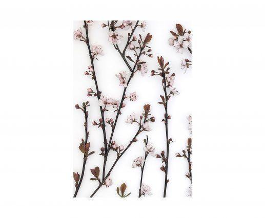 Budding Blossom Wall Art-Palma-Brava