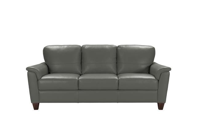 Belfast Leather Sofa-Palma-Brava